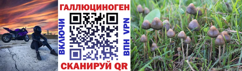 Галлюциногенные грибы MAGIC MUSHROOMS  дарнет шоп  Сухиничи 
